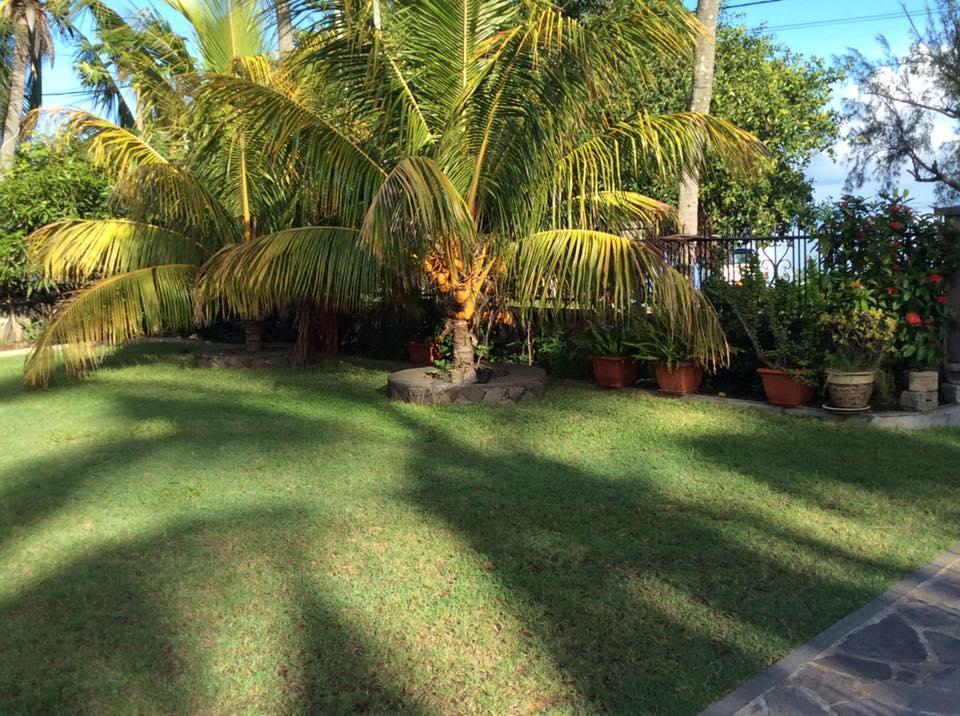 The Beach House Rodrigues Bambou Esterno foto